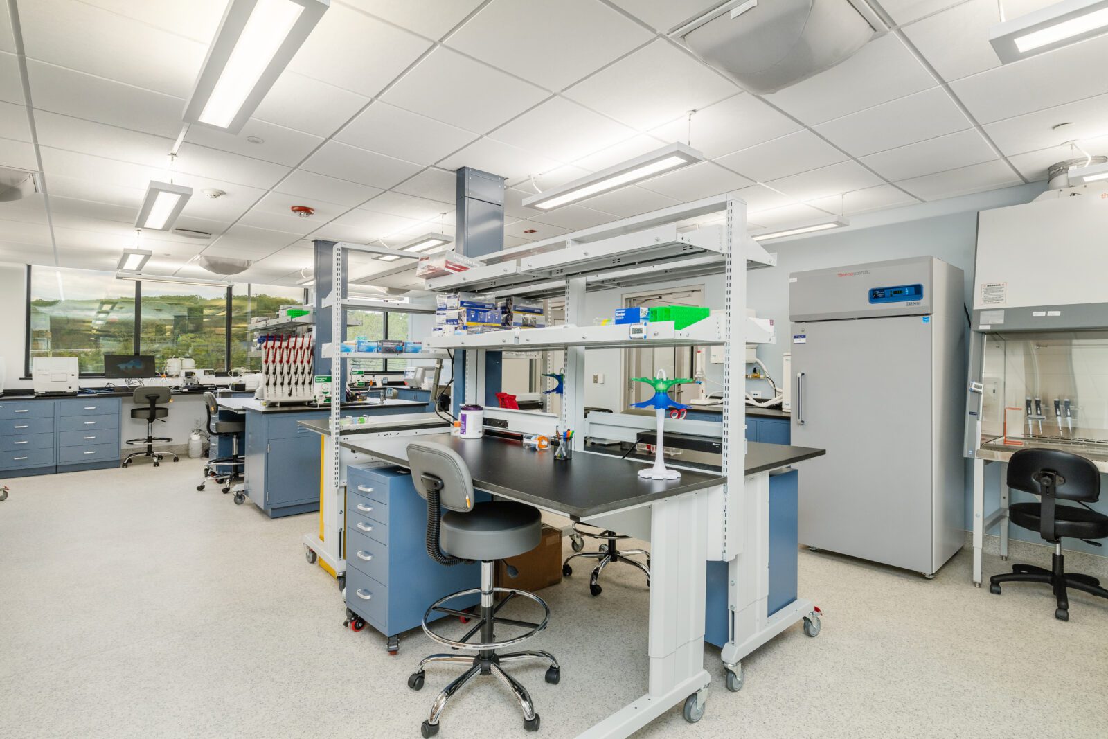 GeneOne Life Science Lab & Office - D&R